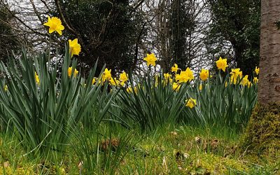 Being realistic about the Take 5 steps to wellbeing…